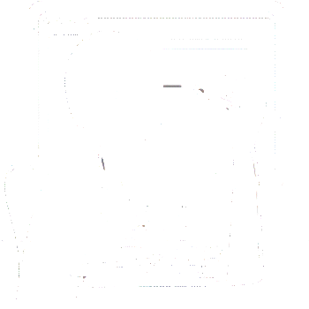 Webdesigner bei der Arbeit Webdesign